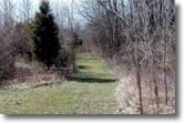 Image of trail in Hisey Park