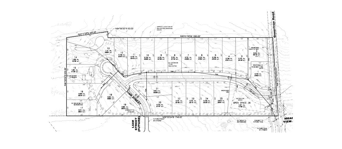 Longmeadow Estates Revised Preliminary Plan